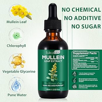 Holman Labs Mullein Leaf Extract – Lung Cleanse & Respiratory Support Drops | 60ml | Natural Herbal Lung Detox | Free UK Shipping